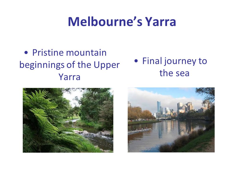 Melbourne’s Yarra Pristine mountain beginnings of the Upper Yarra Final journey to the sea
