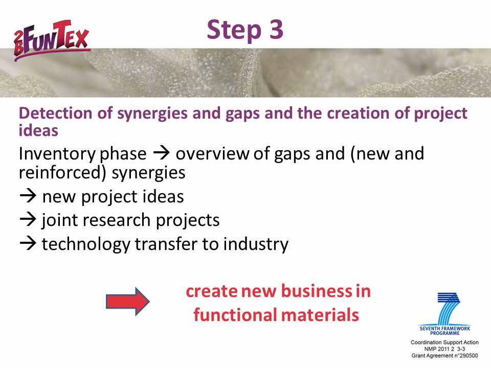 Step 3 Detection of synergies and gaps and the creation of project ideas Inventory phase  overview of gaps and (new and reinforced) synergies  new project ideas  joint research projects  technology transfer to industry create new business in functional materials