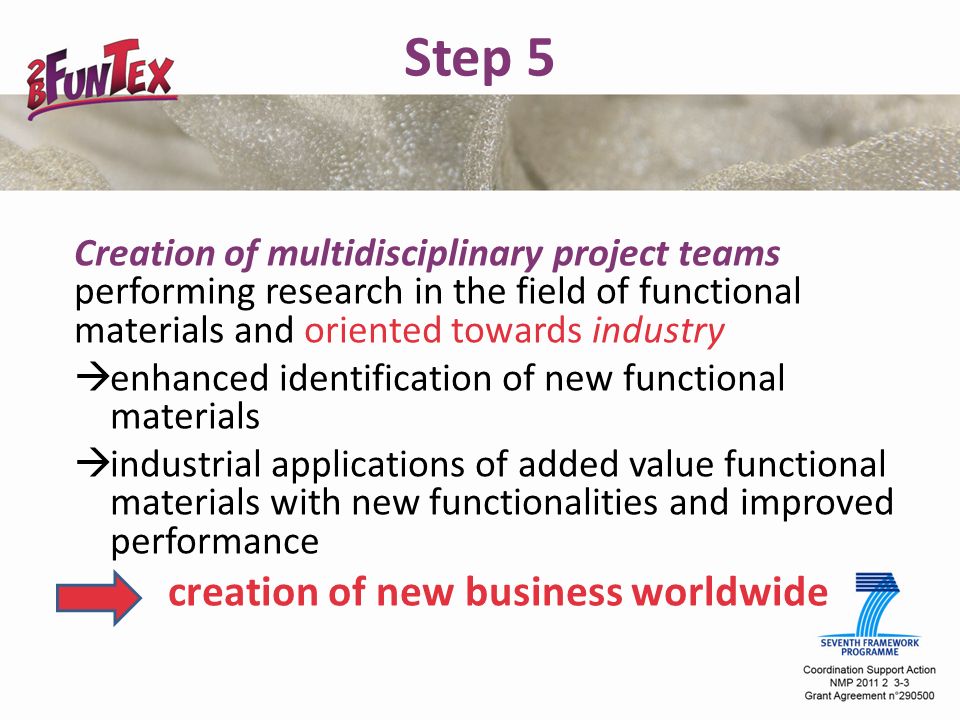 Step 5 Creation of multidisciplinary project teams performing research in the field of functional materials and oriented towards industry  enhanced identification of new functional materials  industrial applications of added value functional materials with new functionalities and improved performance creation of new business worldwide