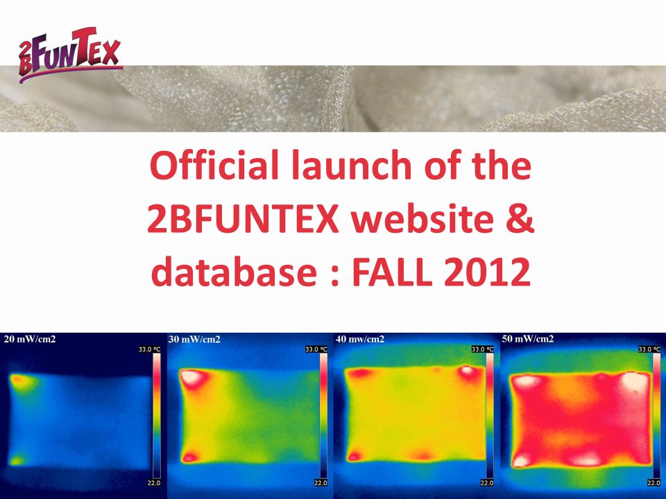 Official launch of the 2BFUNTEX website & database : FALL 2012