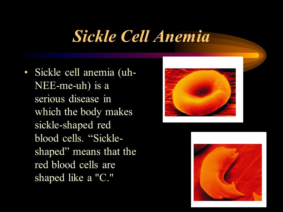 Blood!!. Blood The fluid portion of cardiovascular system Connective Tissue Serves the body’s 75 Trillion Cells!! WOW! -  ppt... 