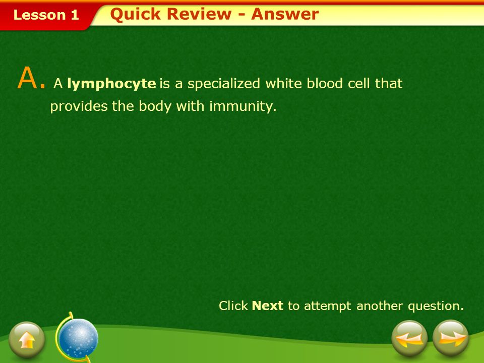 Lesson 1 1.lymph 2. lymphocyte 3.spleen 4. artery Q.