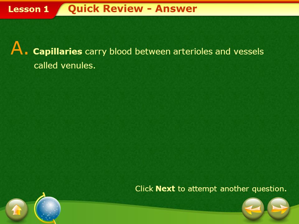Lesson 1 1.Arteries 2. Veins 3.Capillaries 4. Platelets Q.