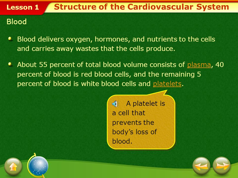 Lesson 1 Heart Blood Blood vessels, including arteries, capillaries, and veins, which transport blood throughout the bodyarteriescapillariesveins Parts of the Cardiovascular System A vein is a blood vessel that returns blood to the heart.