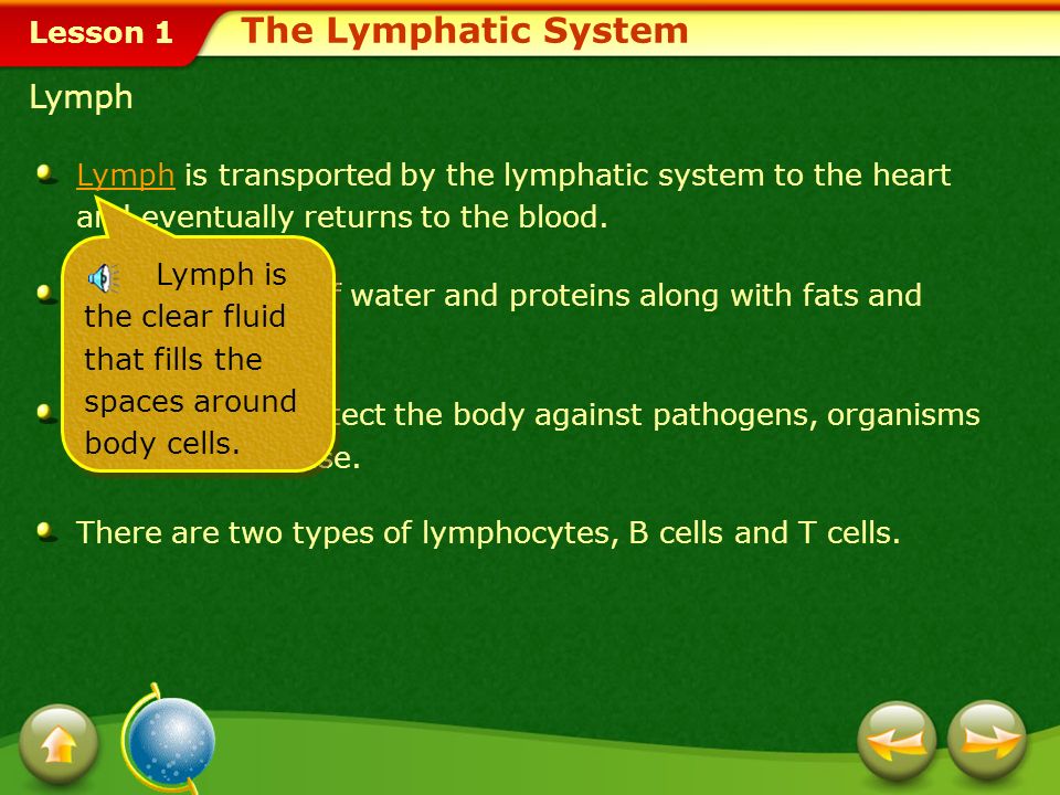 Lesson 1 Blood delivers oxygen, hormones, and nutrients to the cells and carries away wastes that the cells produce.