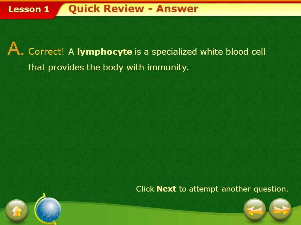Lesson 1 LymphLymph is transported by the lymphatic system to the heart and eventually returns to the blood.