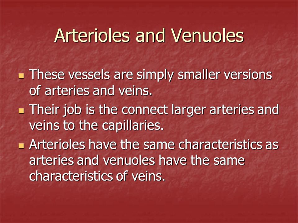 Arterioles and Venuoles These vessels are simply smaller versions of arteries and veins.