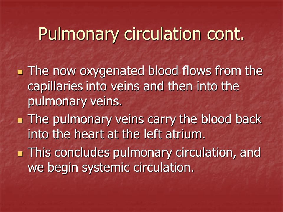 Pulmonary circulation cont.