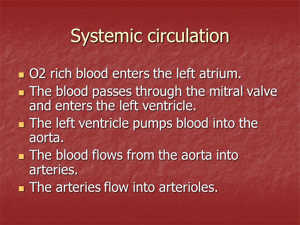 Systemic circulation O2 rich blood enters the left atrium.
