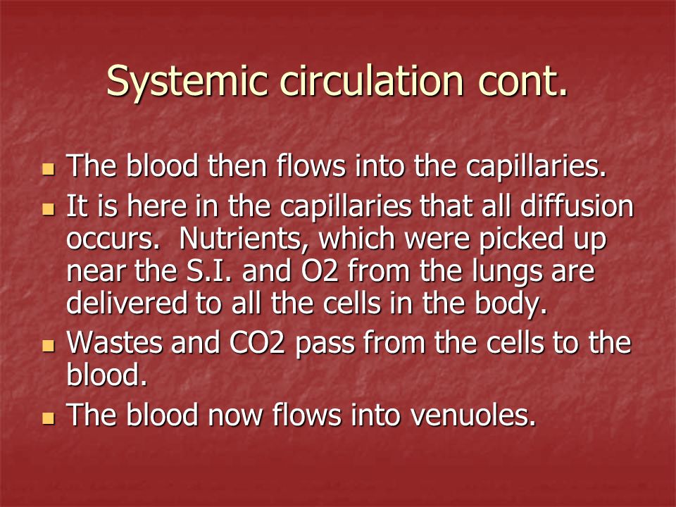 Systemic circulation cont. The blood then flows into the capillaries.