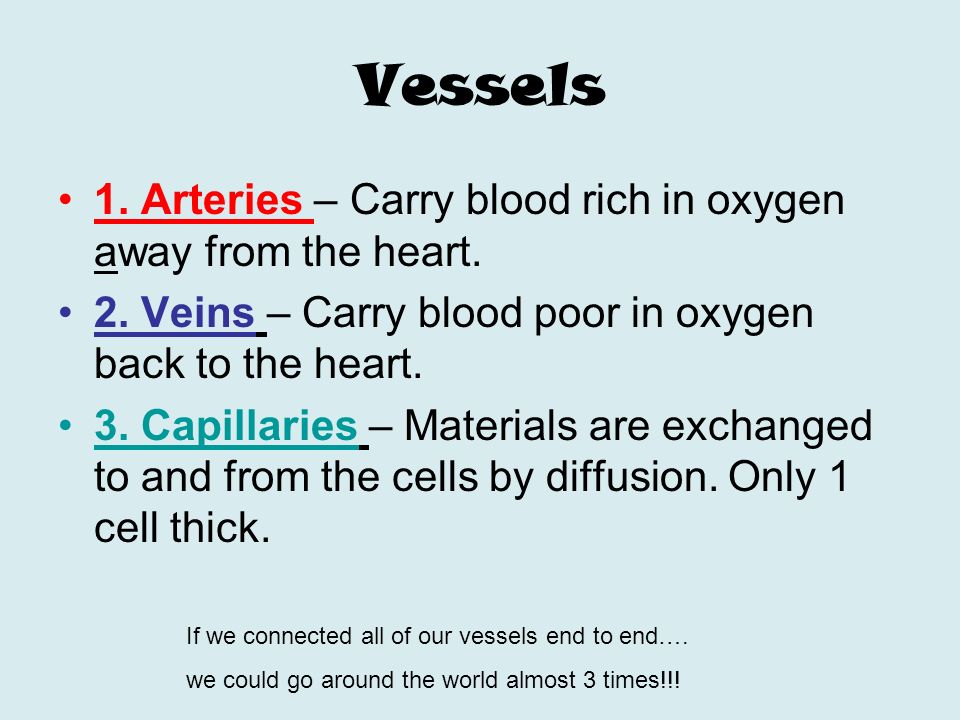 Vessels 1. Arteries – Carry blood rich in oxygen away from the heart.