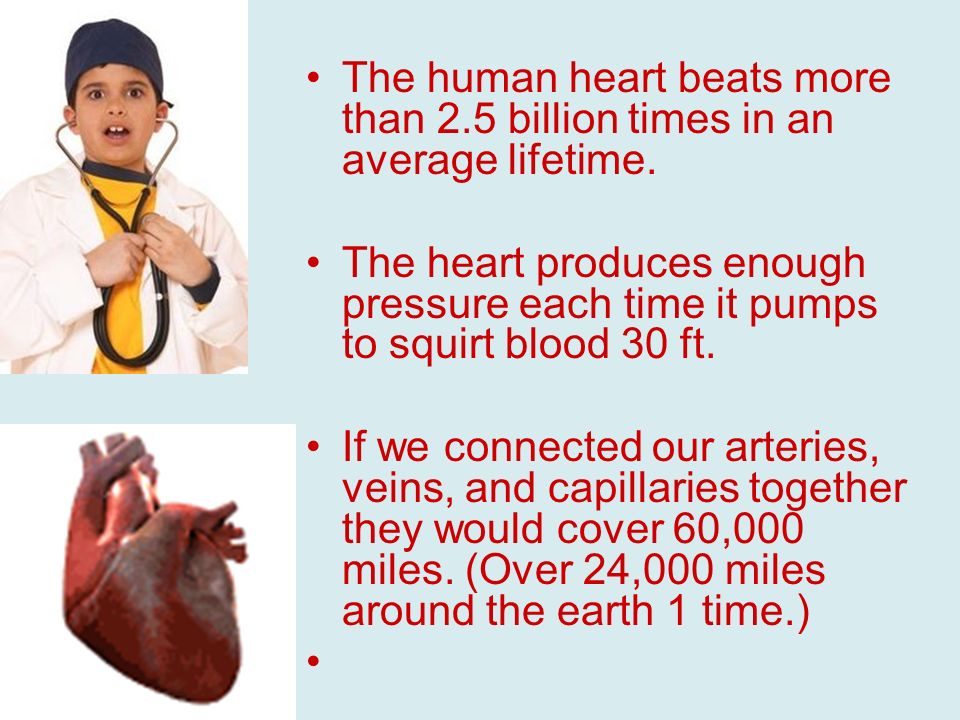 The human heart beats more than 2.5 billion times in an average lifetime.