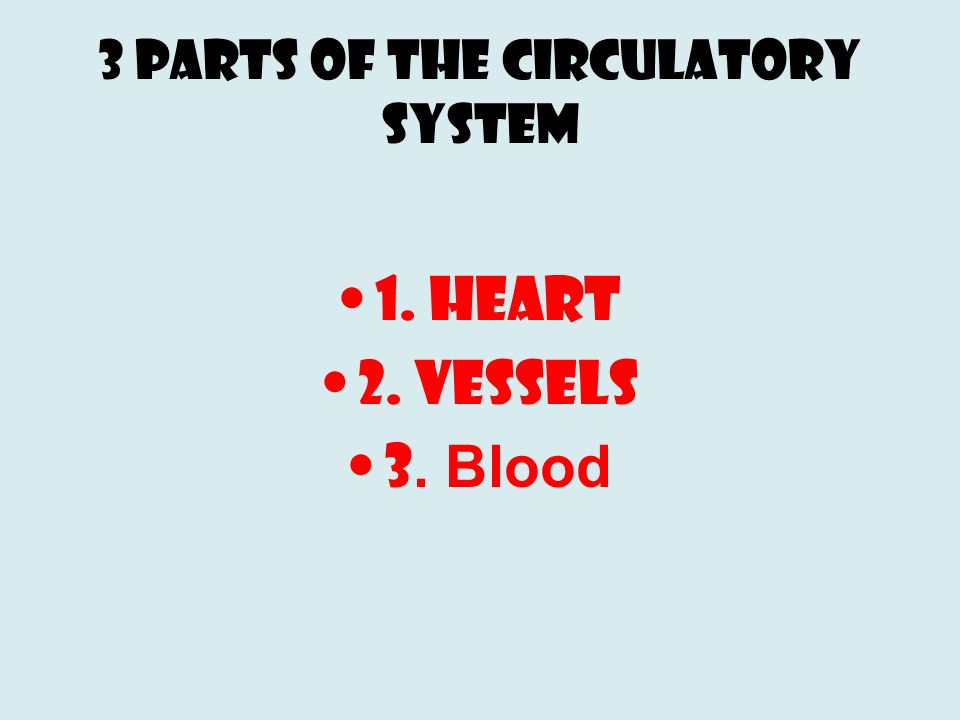 3 Parts of the Circulatory System 1. Heart 2. Vessels 3. Blood