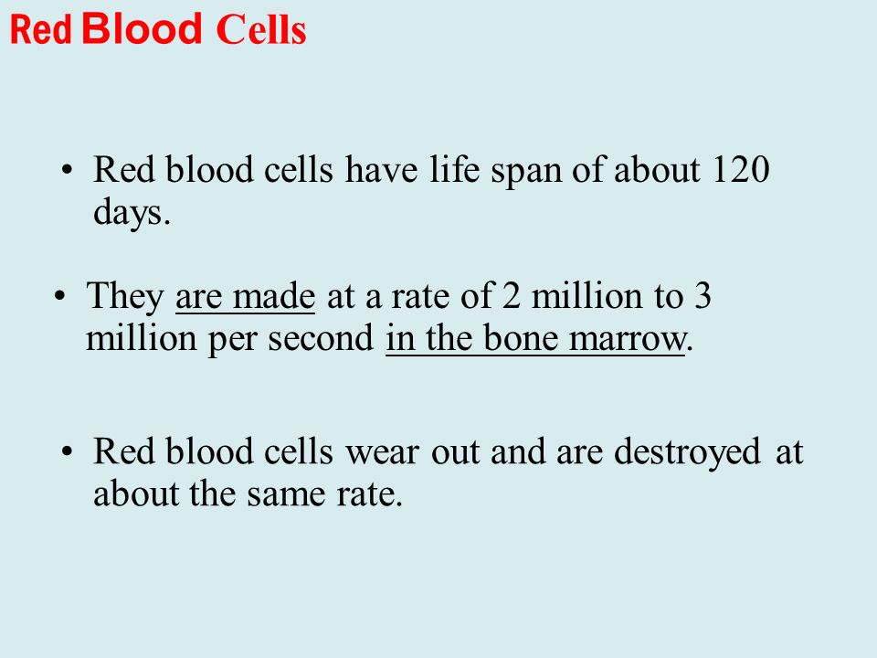 Red Blood Cells Red blood cells have life span of about 120 days.