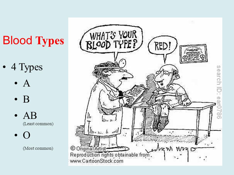Blood Types 4 Types A B AB (Least common) O (Most common)
