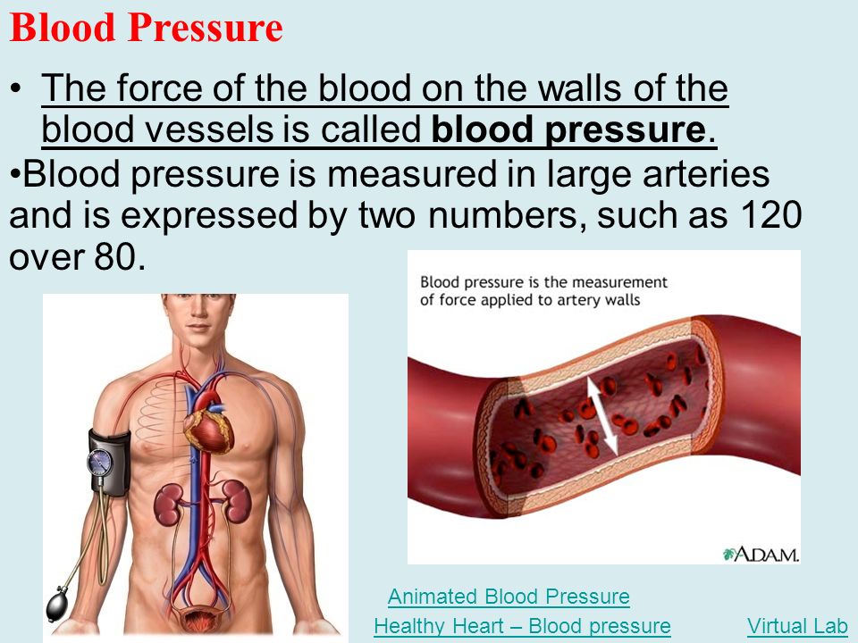 The force of the blood on the walls of the blood vessels is called blood pressure.
