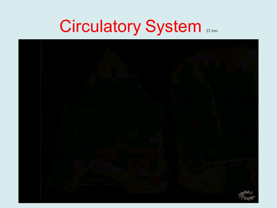 Circulatory System 23 min