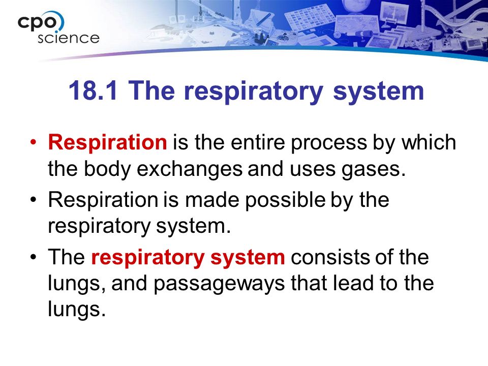18.1 The respiratory system Respiration is the entire process by which the body exchanges and uses gases.