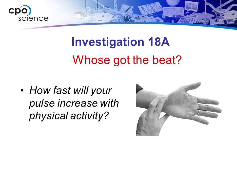 Investigation 18A How fast will your pulse increase with physical activity Whose got the beat