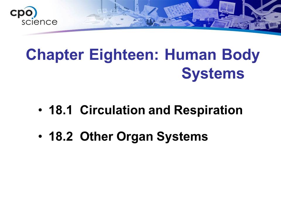 Chapter Eighteen: Human Body Systems 18.1 Circulation and Respiration 18.2 Other Organ Systems