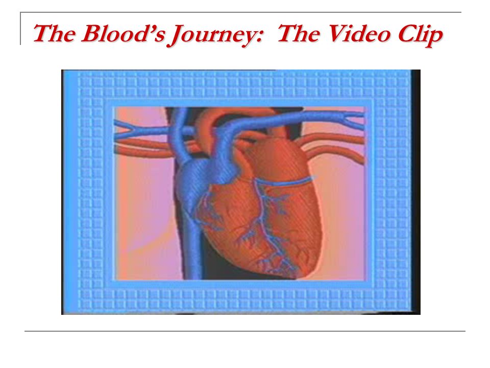 The Blood’s Journey: The Video Clip