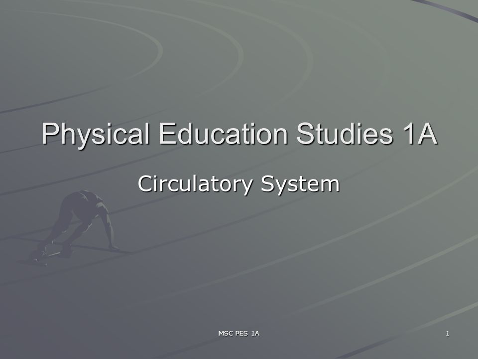 MSC PES 1A 1 Physical Education Studies 1A Circulatory System