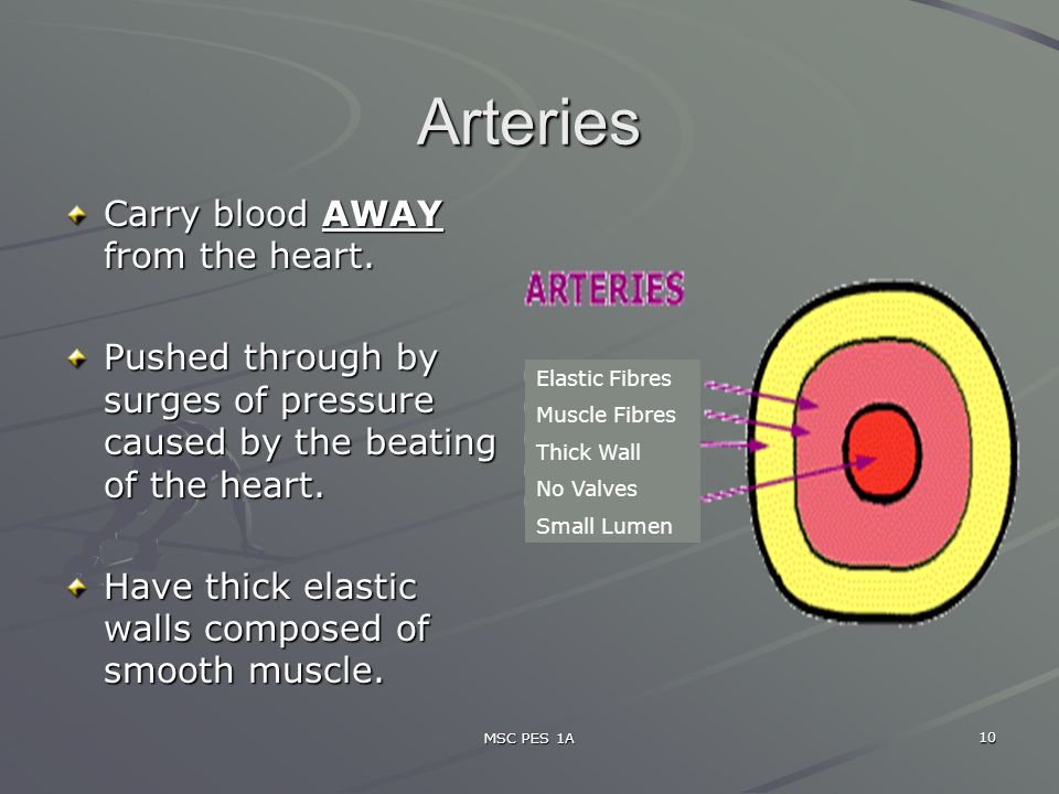 MSC PES 1A 10 Arteries Carry blood AWAY from the heart.