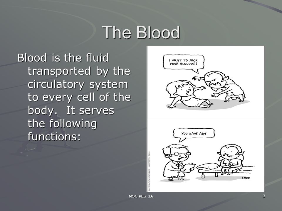 MSC PES 1A 3 The Blood Blood is the fluid transported by the circulatory system to every cell of the body.