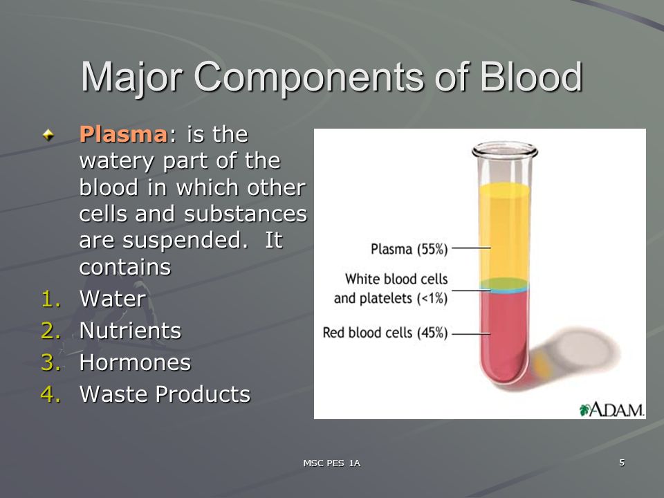 MSC PES 1A 5 Major Components of Blood Plasma: is the watery part of the blood in which other cells and substances are suspended.