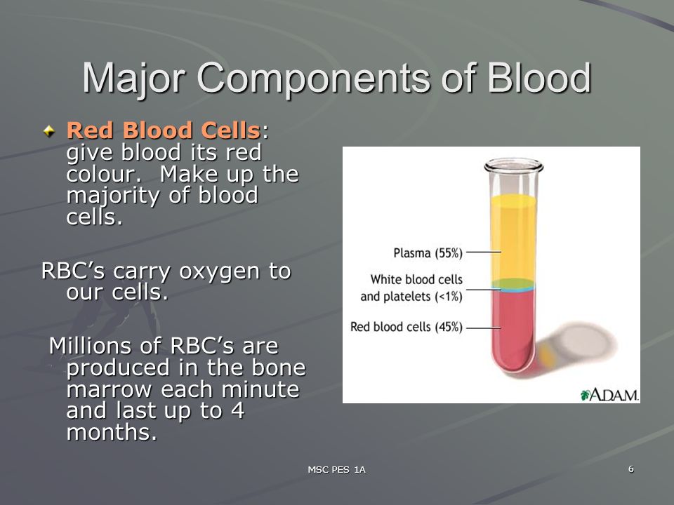 MSC PES 1A 6 Major Components of Blood Red Blood Cells: give blood its red colour.