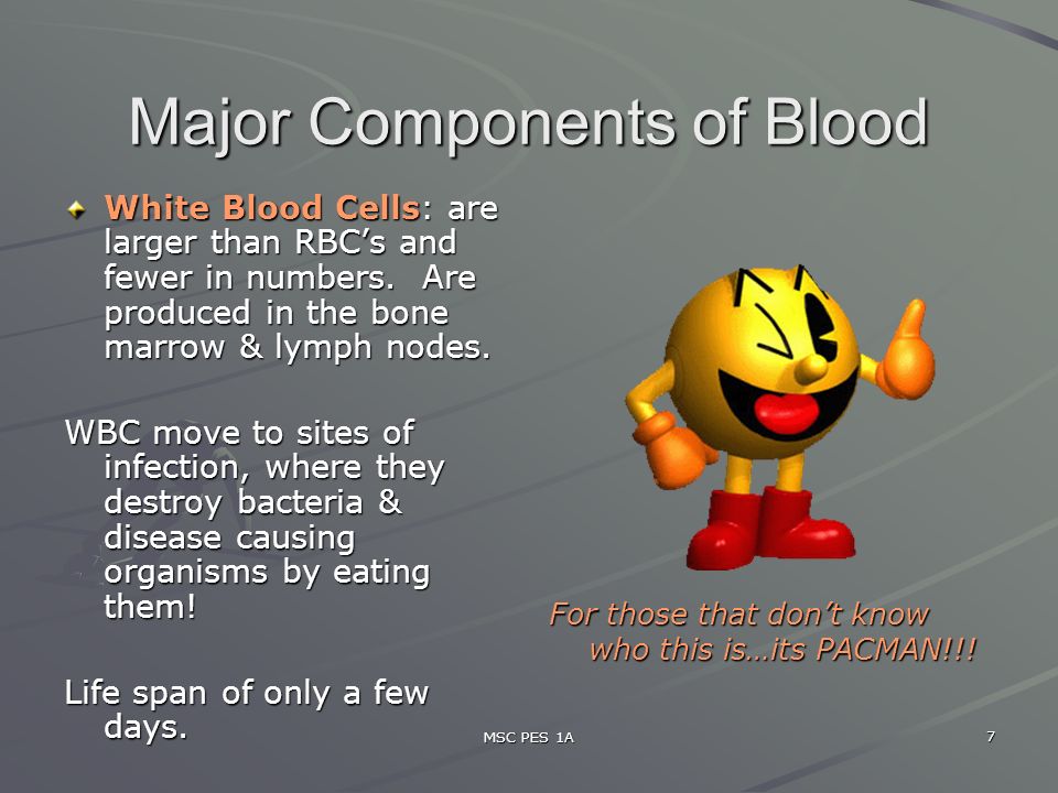 MSC PES 1A 7 Major Components of Blood White Blood Cells: are larger than RBC’s and fewer in numbers.