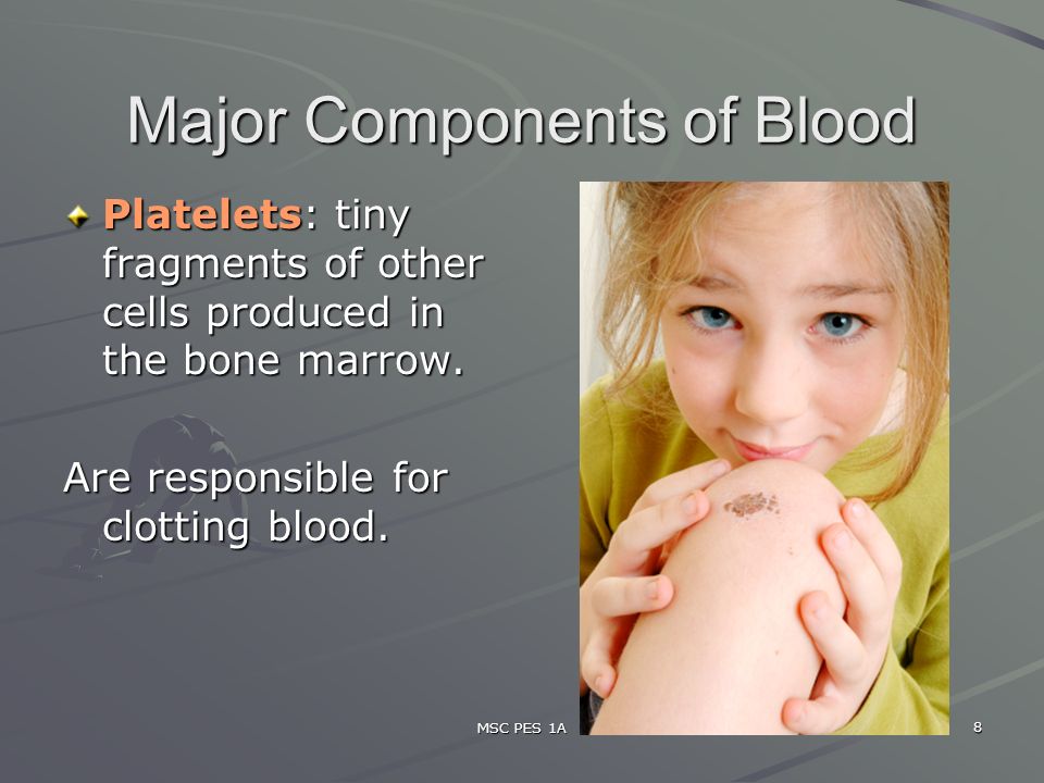 MSC PES 1A 8 Major Components of Blood Platelets: tiny fragments of other cells produced in the bone marrow.