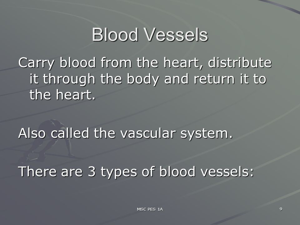 MSC PES 1A 9 Blood Vessels Carry blood from the heart, distribute it through the body and return it to the heart.