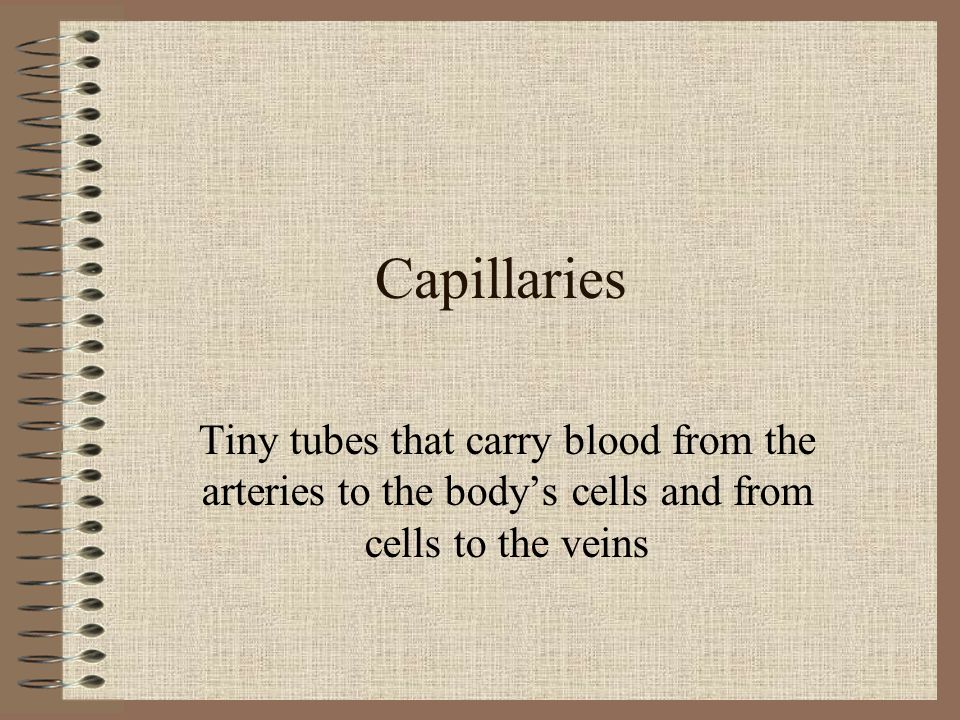 Veins Carry blood back to the heart