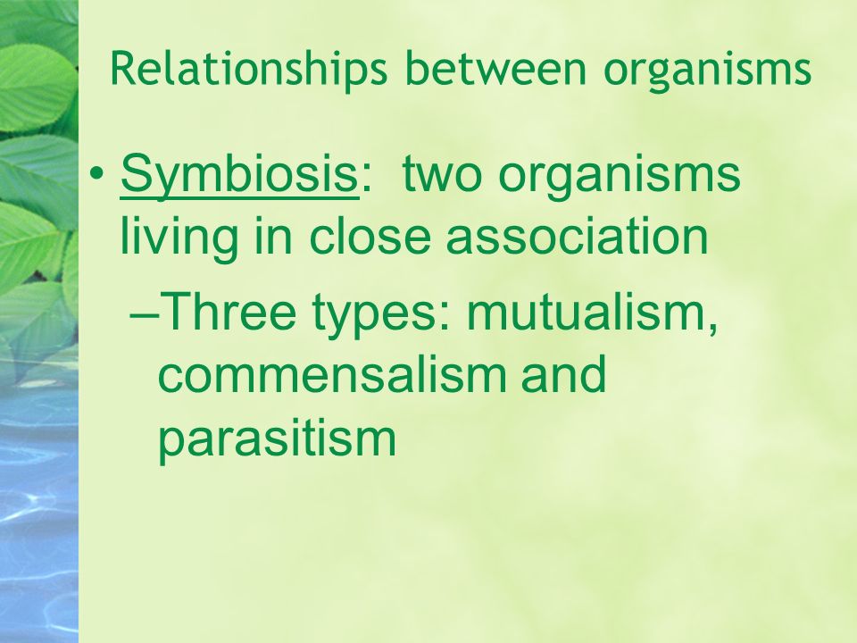 Relationships between organisms Symbiosis: two organisms living in close association –Three types: mutualism, commensalism and parasitism