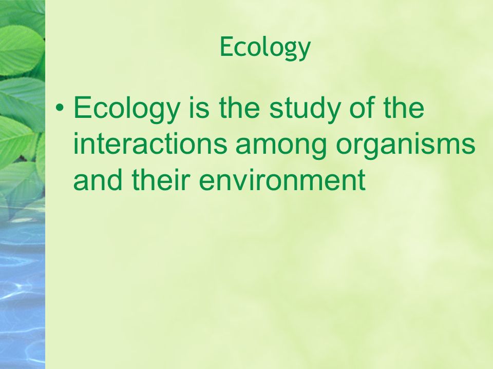 Ecology is the study of the interactions among organisms and their environment