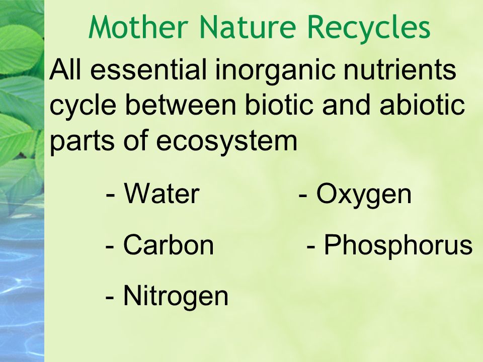 Mother Nature Recycles All essential inorganic nutrients cycle between biotic and abiotic parts of ecosystem - Water - Oxygen - Carbon - Phosphorus - Nitrogen