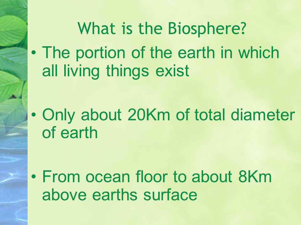 What is the Biosphere.