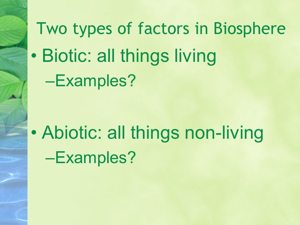 Two types of factors in Biosphere Biotic: all things living –Examples.
