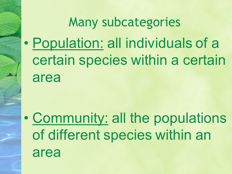 Many subcategories Population: all individuals of a certain species within a certain area Community: all the populations of different species within an area