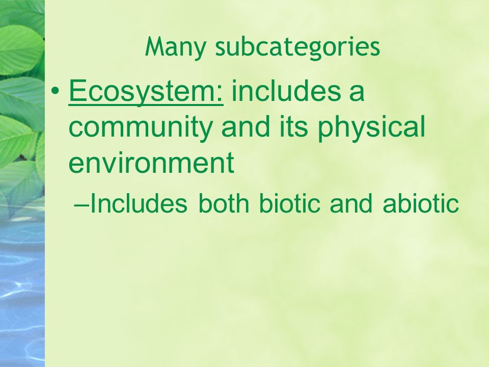 Many subcategories Ecosystem: includes a community and its physical environment –Includes both biotic and abiotic