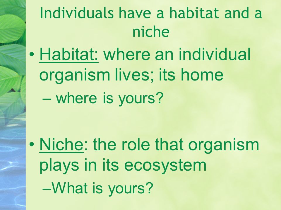 Individuals have a habitat and a niche Habitat: where an individual organism lives; its home – where is yours.