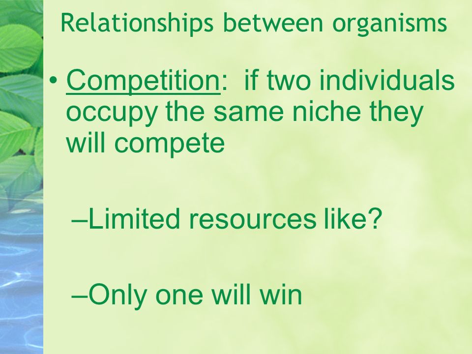 Relationships between organisms Competition: if two individuals occupy the same niche they will compete –Limited resources like.