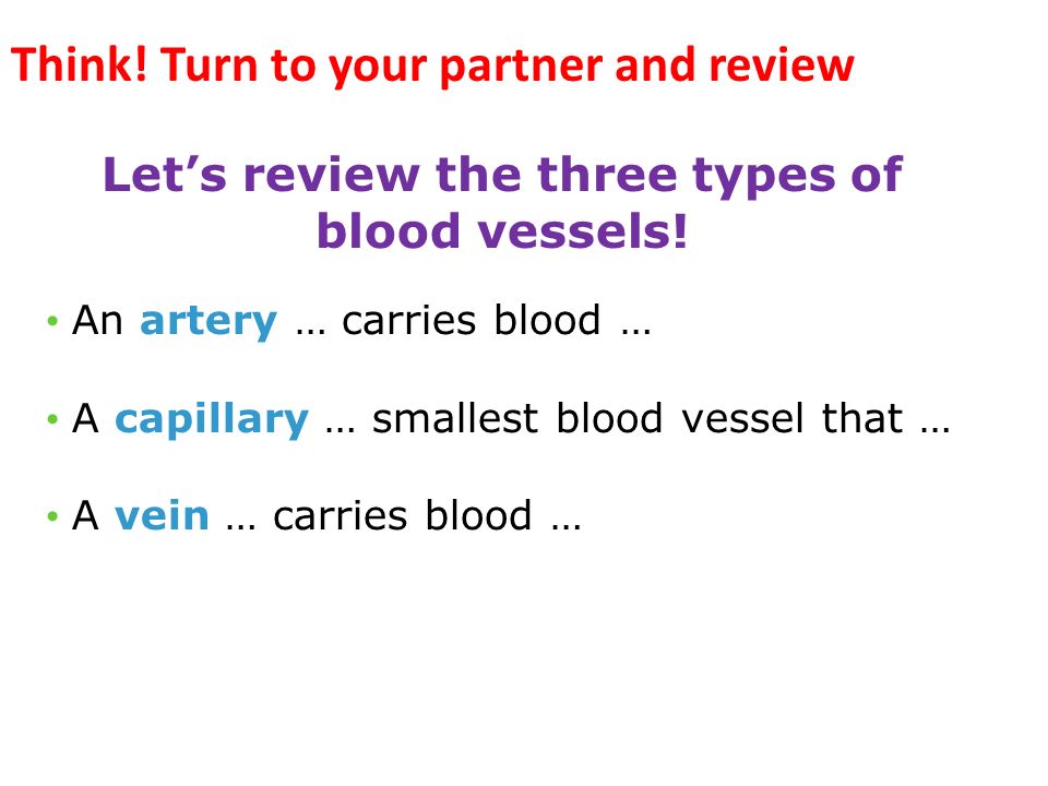 Let’s review the three types of blood vessels.