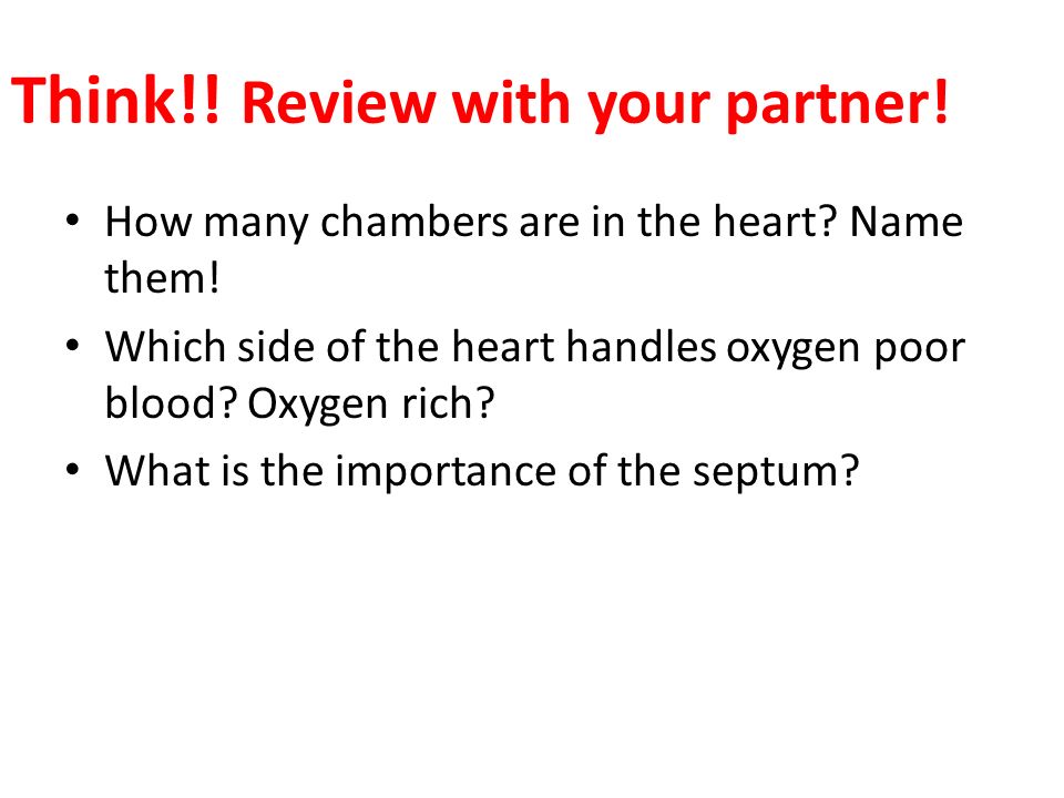 Think!. Review with your partner. How many chambers are in the heart.