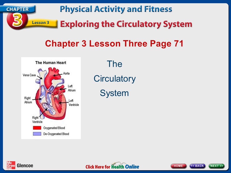 Chapter 3 Lesson Three Page 71 The Circulatory System