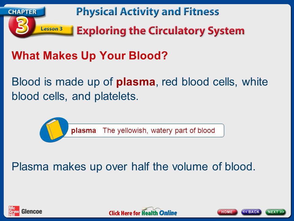 What Makes Up Your Blood.