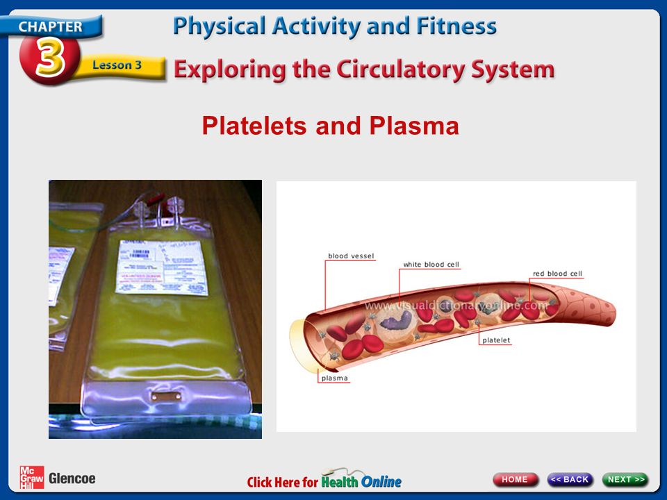 Platelets and Plasma