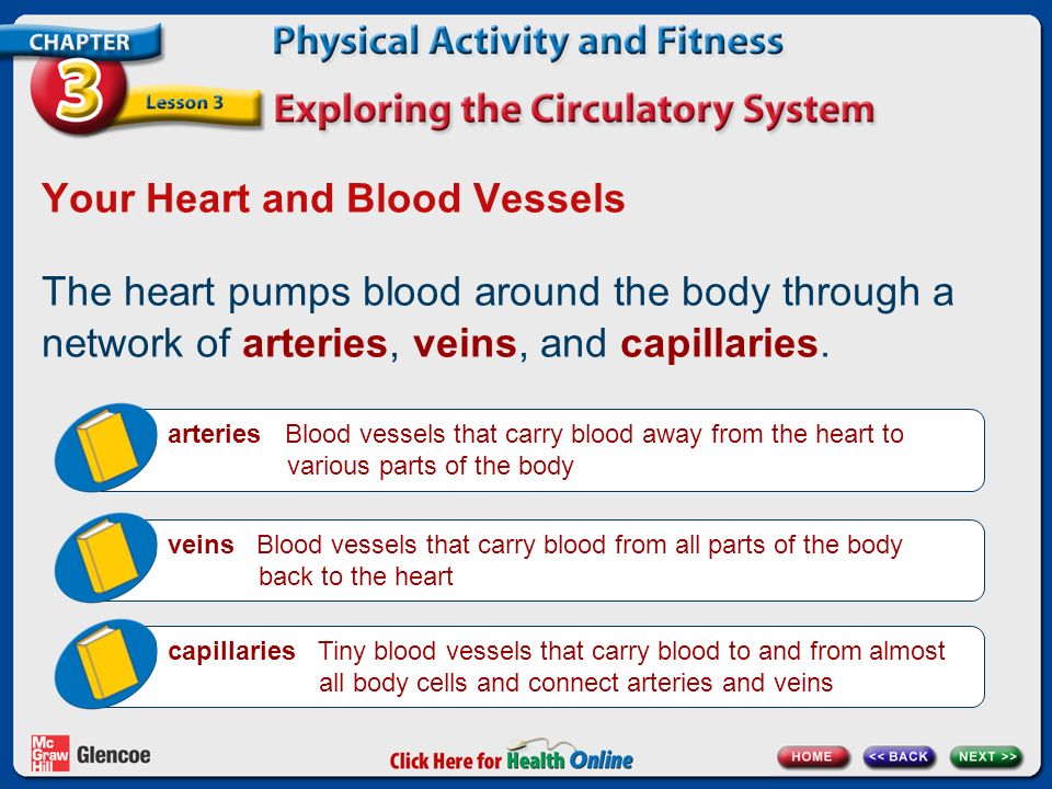Your Heart and Blood Vessels The heart pumps blood around the body through a network of arteries, veins, and capillaries.