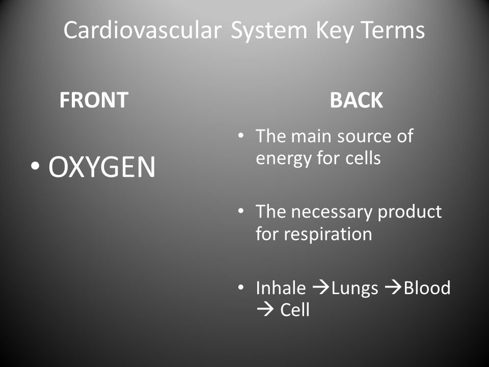 Cardiovascular System Key Terms FRONT OXYGEN BACK The main source of energy for cells The necessary product for respiration Inhale  Lungs  Blood  Cell